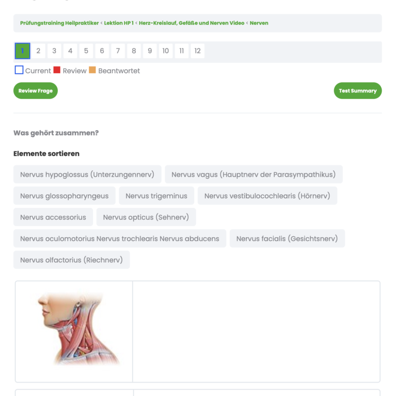 Prüfungstraining Heilpraktiker Passau Landshut